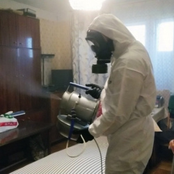 Дезинфекция от клопов в Андреевке
