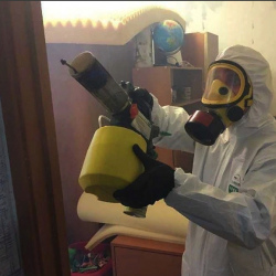 Уничтожение клопов в квартире. Андреевка